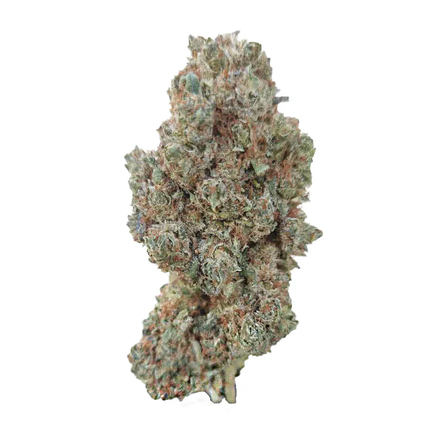 SUPER LEMON HAZE