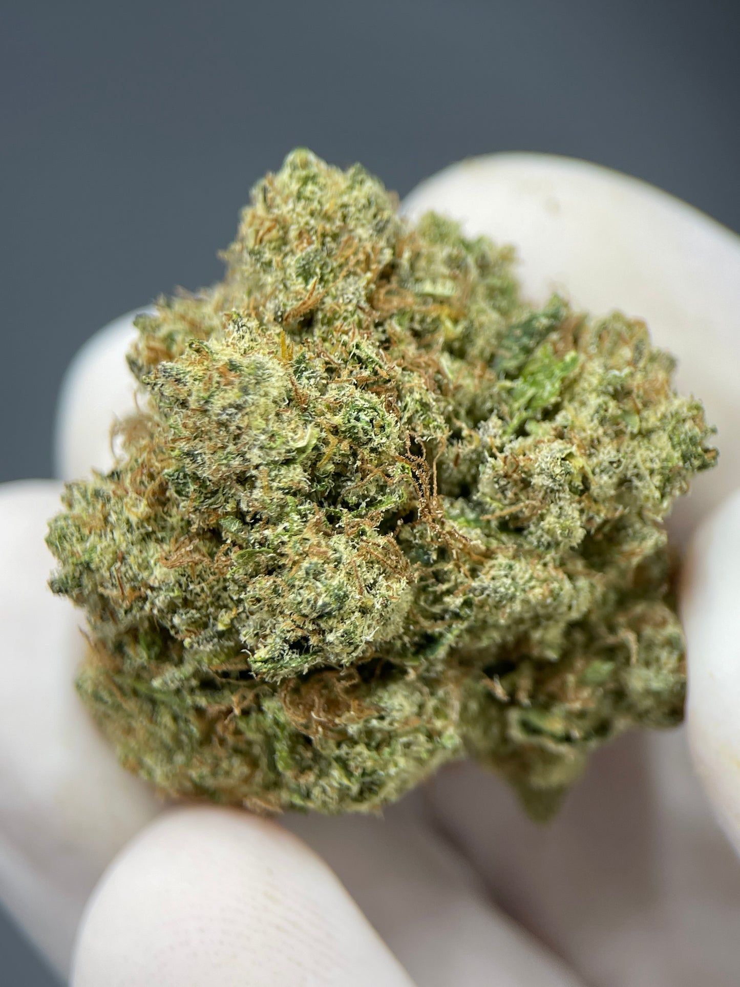 WATERMELON SKITTLEZ (18%CBD)